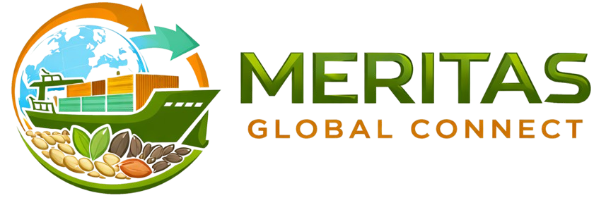 meritas global connect logo removebg preview