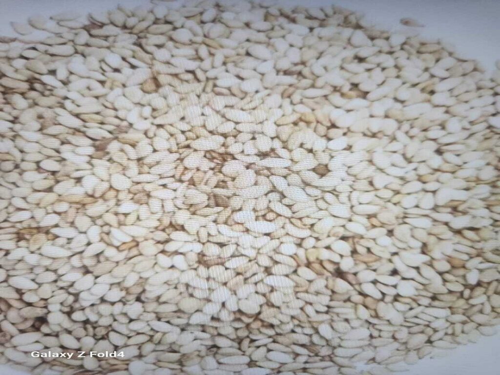 As Meritas,specializes in the export of premium Sesame Seeds (Natural and Hulled), sourced from India’s most reliable organic farms. We take pride in a processing method that retains the seeds’ delicate nutty flavor and high oil content without the use of harsh chemicals. These tiny seeds are a massive source of calcium, protein, and B vitamins, supporting bone health and metabolic function. Whether you require jute or PP bags, our logistics team ensures that every bulk order meets international food safety standards and arrives with its nutritional profile intact.