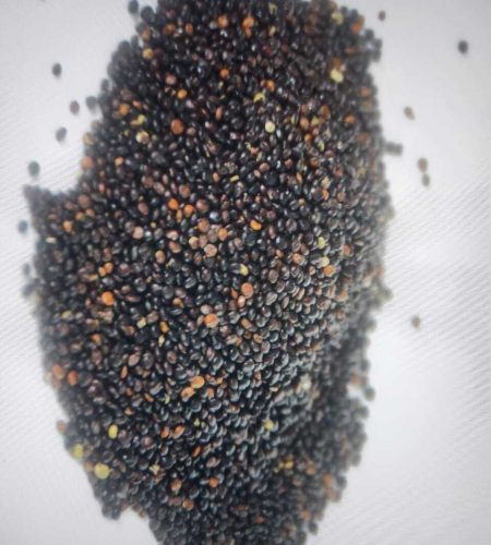 0c3c9dd3 95e5 4adc b4d9 6a3ba9d39a88