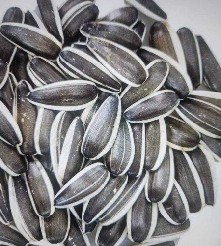 sunflower seeds